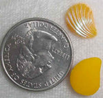 #264 - 13x9.5mm Glass Seashell Stone, 4 Pieces